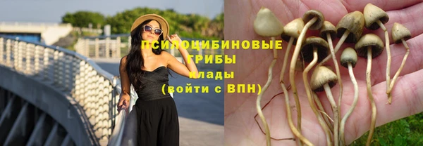 мет Алексин