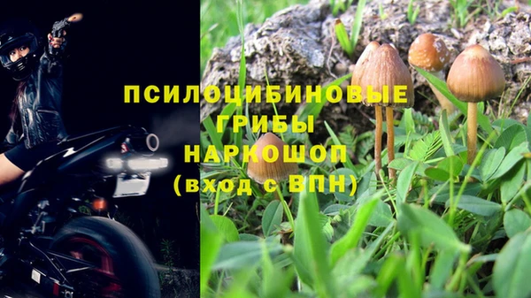 мет Алексин