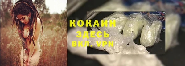 прущие крисы Алзамай