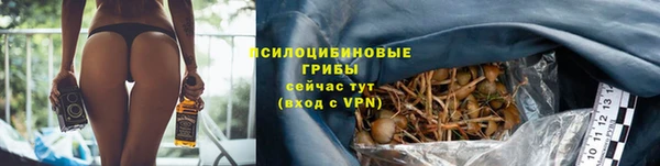 мет Алексин