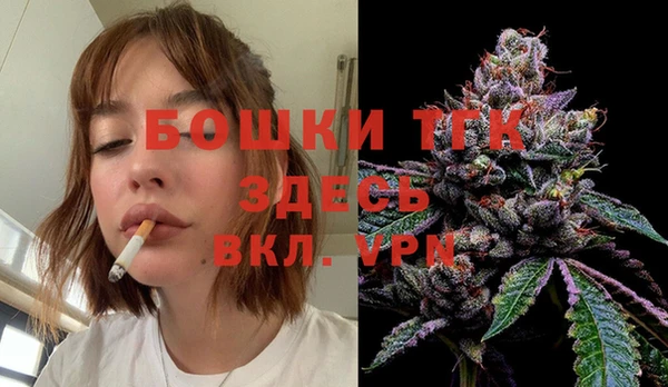 мет Алексин