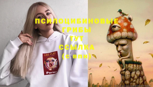 мет Алексин