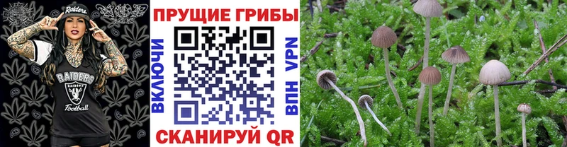 Галлюциногенные грибы MAGIC MUSHROOMS  Анадырь 