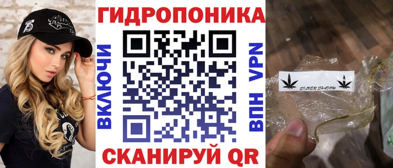 Бошки Шишки план  Анадырь 